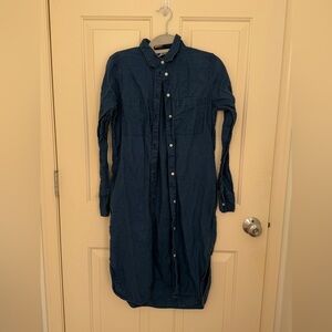 Everlane Blue Button-Up Shirt